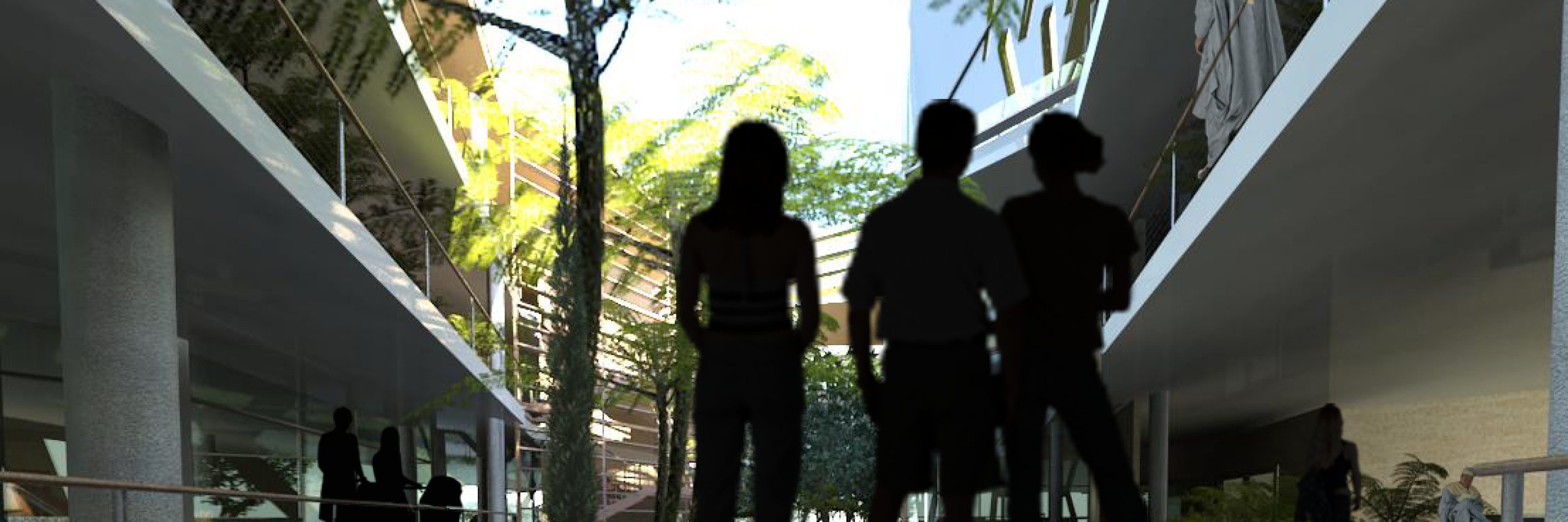 Vista 3D 15